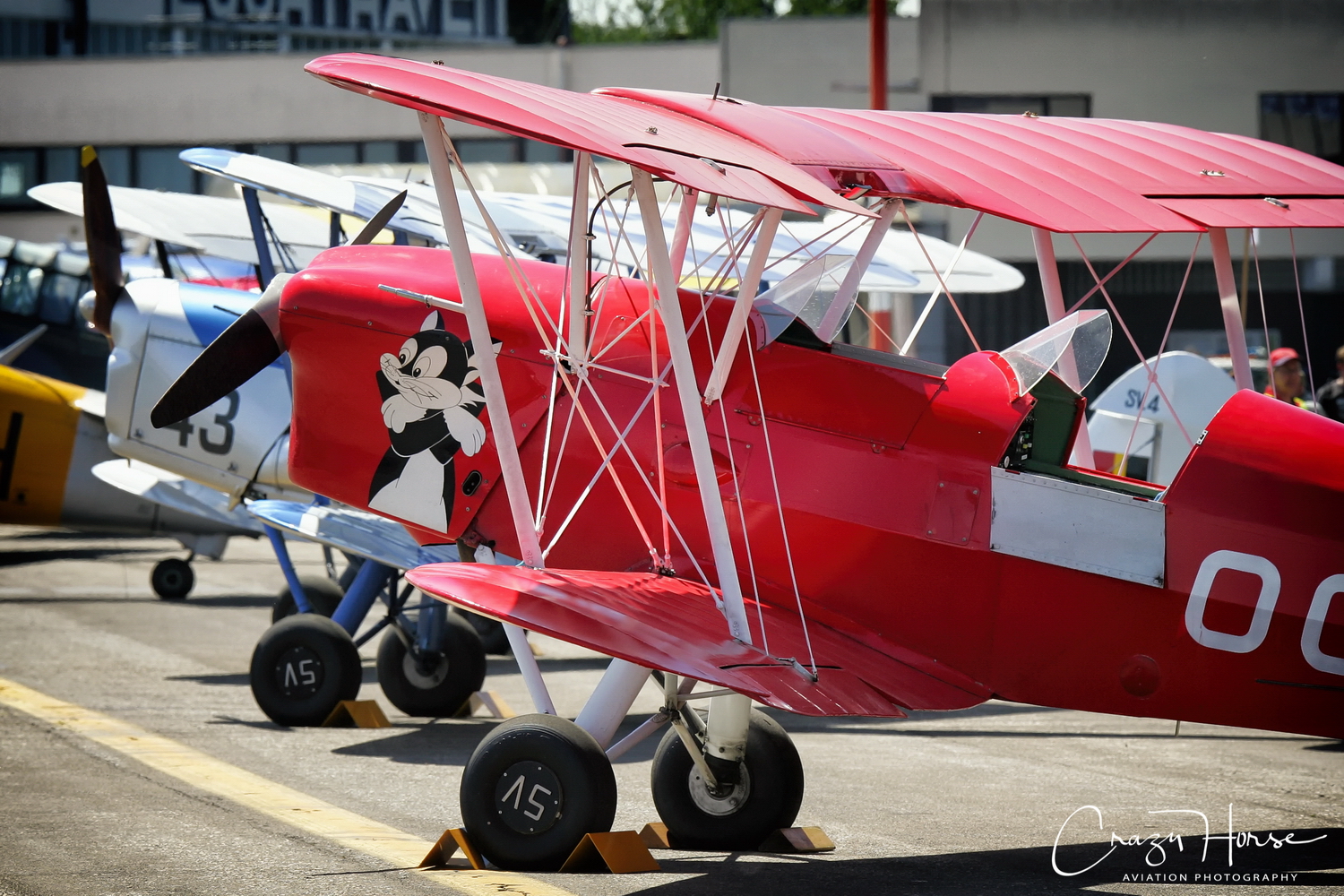 Stampe Fly In 2009 009