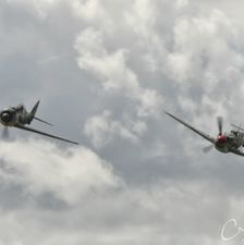 Hispano Buchon and FW-190